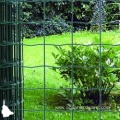 powder coated Galvanized 50x75mm holland wire fence